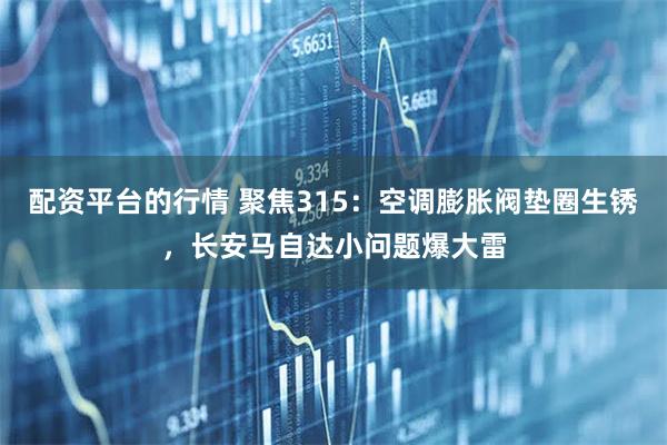 配资平台的行情 聚焦315：空调膨胀阀垫圈生锈，长安马自达小问题爆大雷
